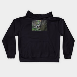 Baby Raccoon Kids Hoodie